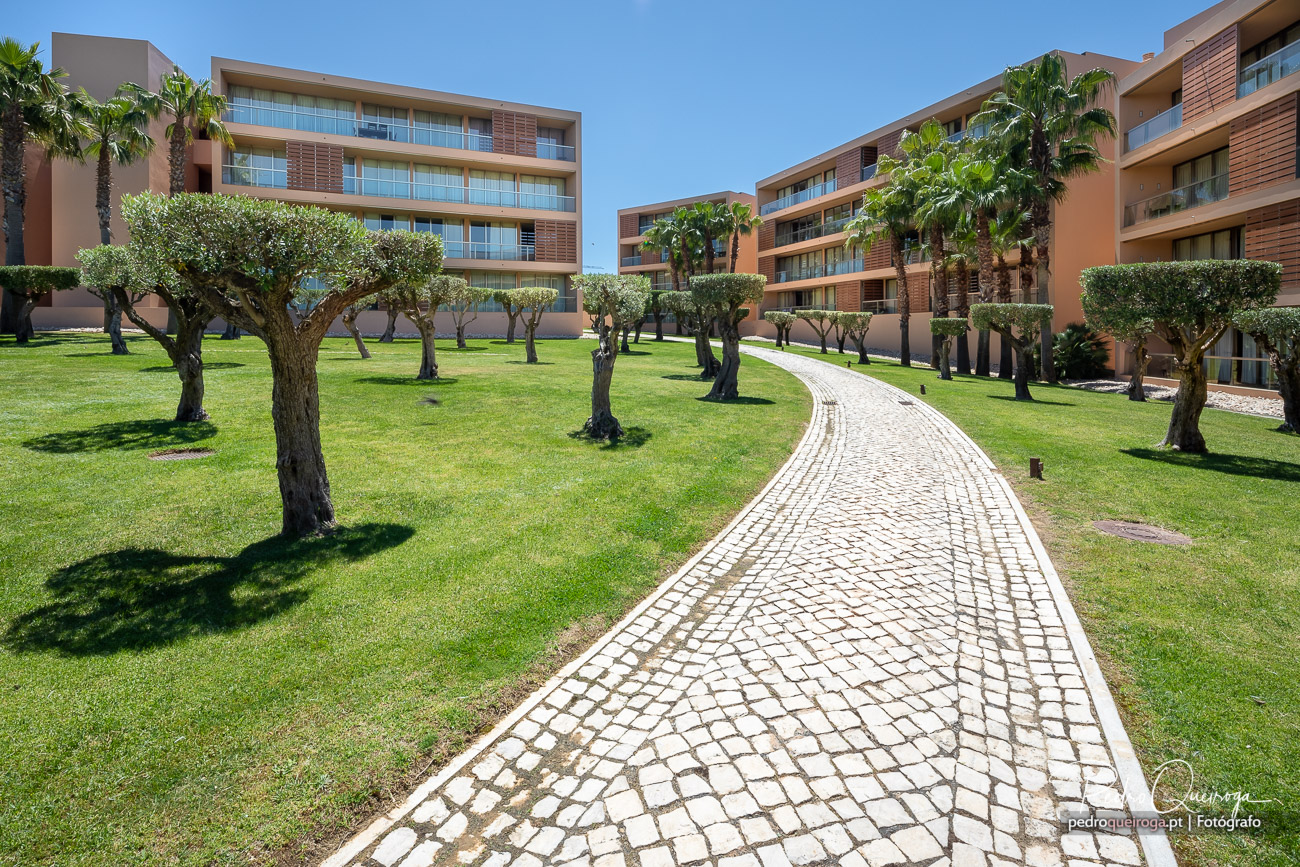 Caminho em calçada portuguesa serpenteia entre relvados verdejantes e árvores, ladeado por edifícios modernos em tons terra.