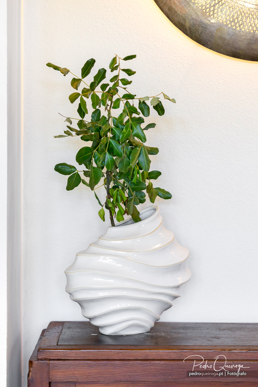 Planta verde em vaso branco espiralado sobre móvel de madeira junto a parede clara com espelho dourado parcial