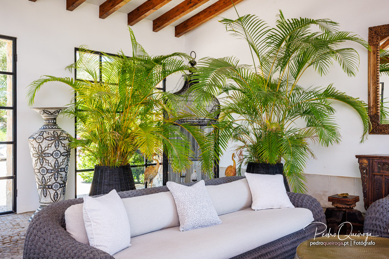 Sala luminosa com sofá branco, palmeiras exuberantes em vasos e vigas de madeira no teto
