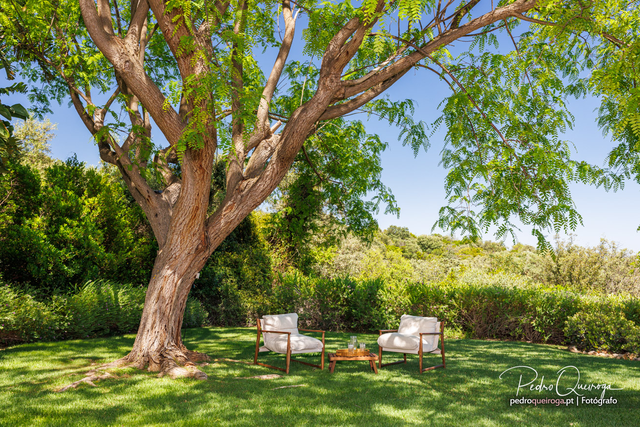 Duas cadeiras brancas e mesa lateral sob árvore frondosa em jardim verdejante com céu azul ao fundo