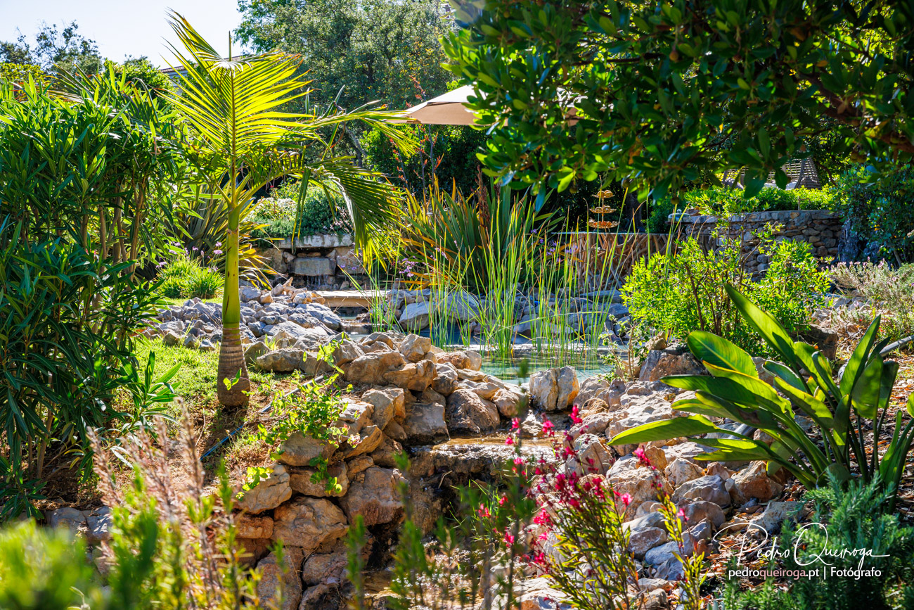 Lago ornamental rodeado de vegetação tropical e flores, ideal para fotografias de jardins paradisíacos e relaxantes