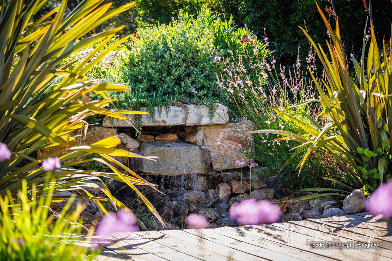 Cascata em pedra natural emoldurada por vegetação luxuriante e flores roxas, numa fotografia de jardim vibrante.