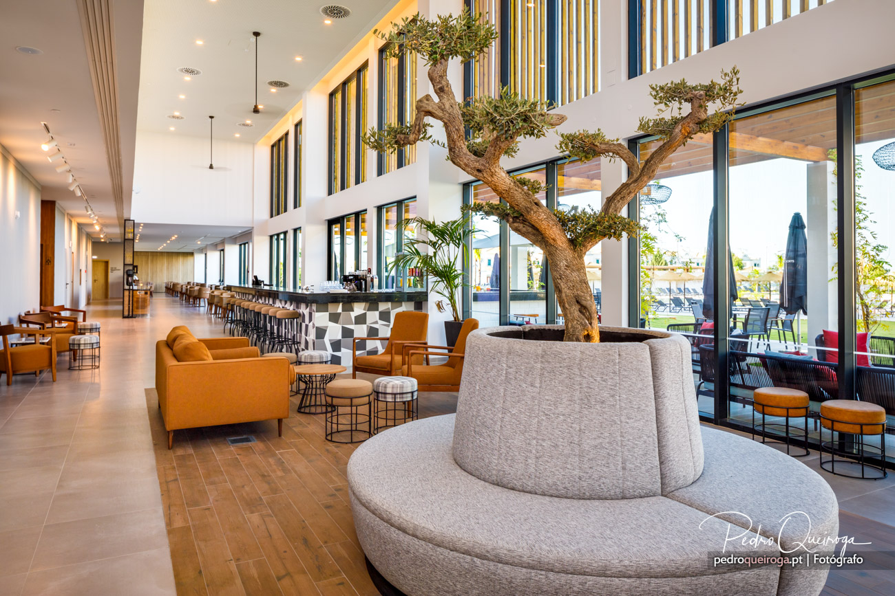Lobby moderno de hotel com oliveira centenária, sofás laranja, bar ao fundo e amplas janelas com luz natural