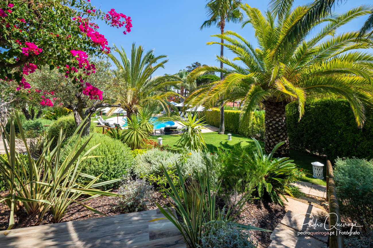 Jardim tropical exuberante com palmeiras, buganvílias rosa e piscina ao fundo sob céu azul luminoso