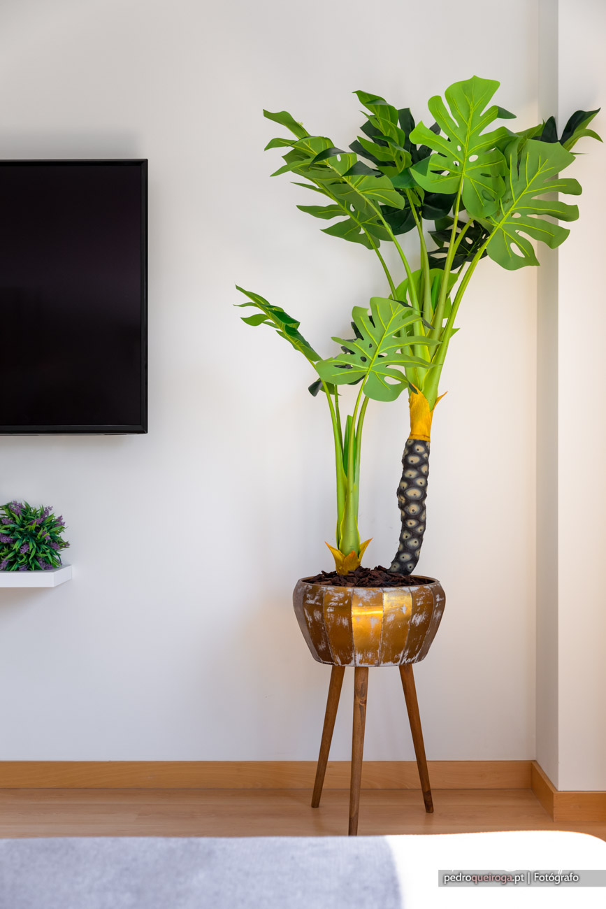 Planta tropical em vaso cerâmico sobre suporte, complementando a arquitectura minimalista de interiores modernos.