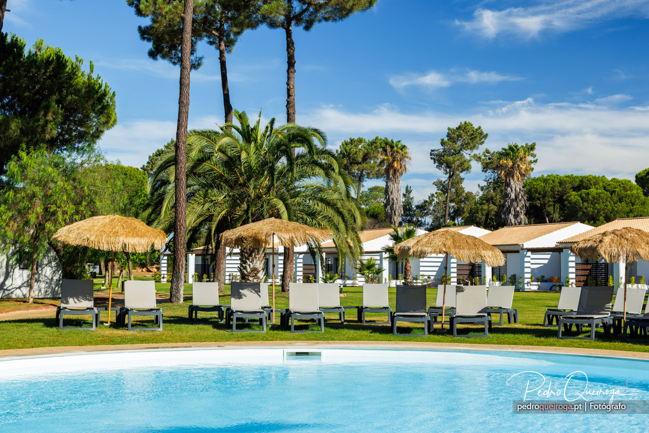 Piscina rodeada por espreguiçadeiras brancas e chapéus de sol, palmeiras e pinheiros ao fundo num dia ensolarado