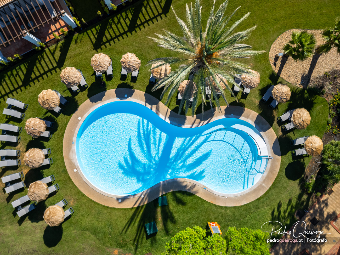 Vista aérea de piscina em forma orgânica rodeada por espreguiçadeiras com chapéus de palha e palmeira central no relvado verde